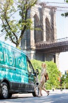 Chariot Shuttle Service 